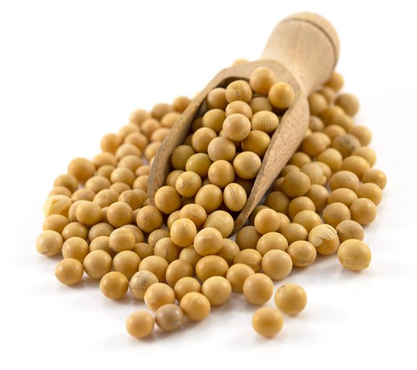 organic-soya-beans-sussex-wholefoods-1kg-7SOY1-600x533